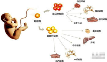 治疗不孕不育